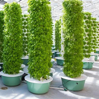 Hydroponic Tower - أنظمة برج الزراعة الهوائية مع إضاءة