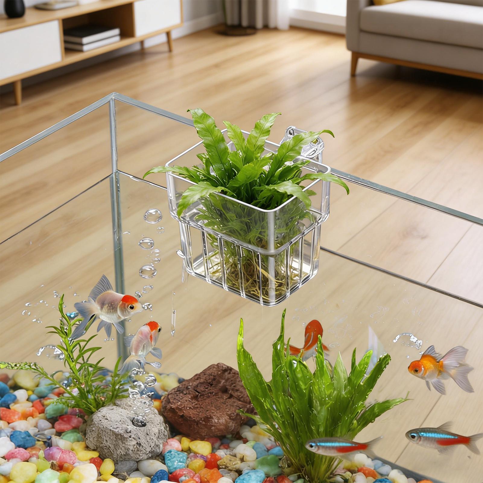 Hydroponic Grow Pod - وعاء شفاف قابل للتعليق لحمل نباتات