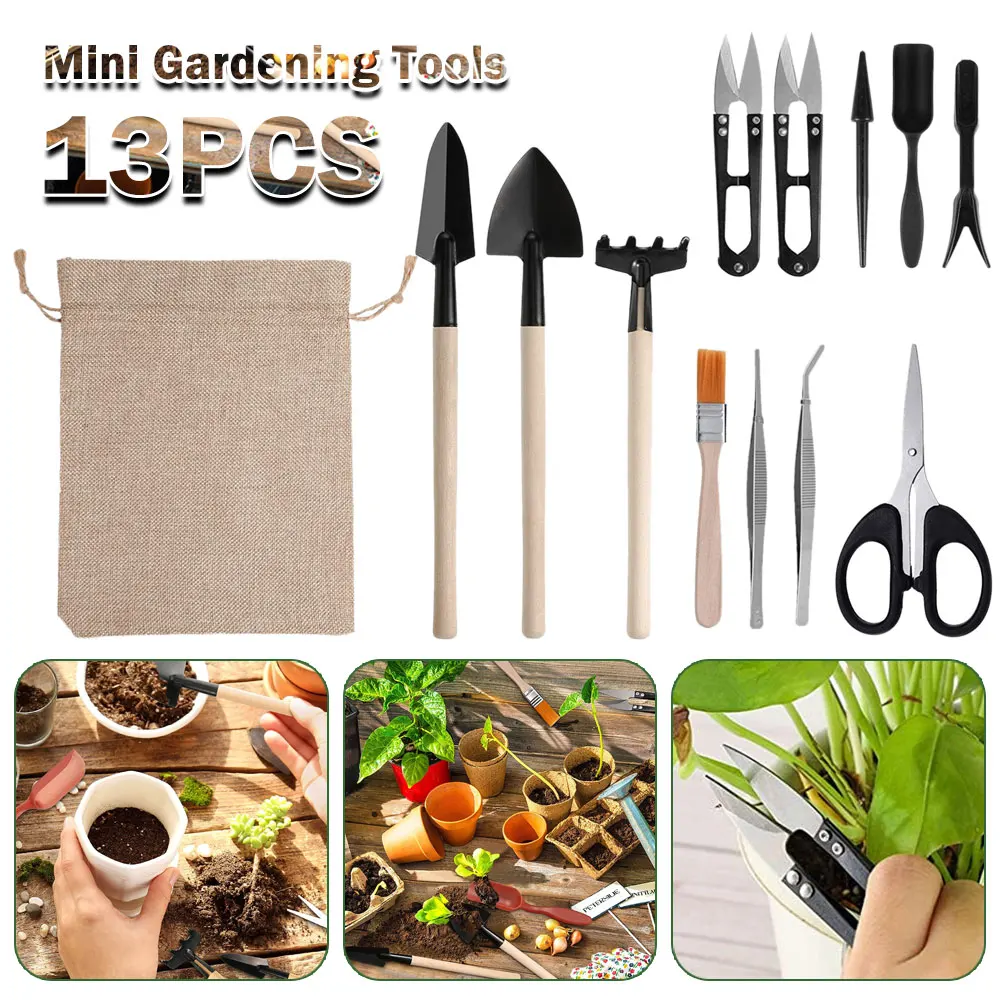 Indoor Garden Kit - مجموعة أدوات النباتات العصارية الداخلية ،