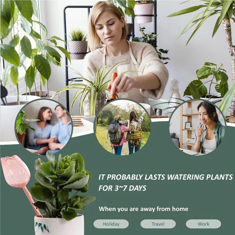 كرات سقي نباتات التوليب الوردي - مراجعة Plant Sensor وسعره