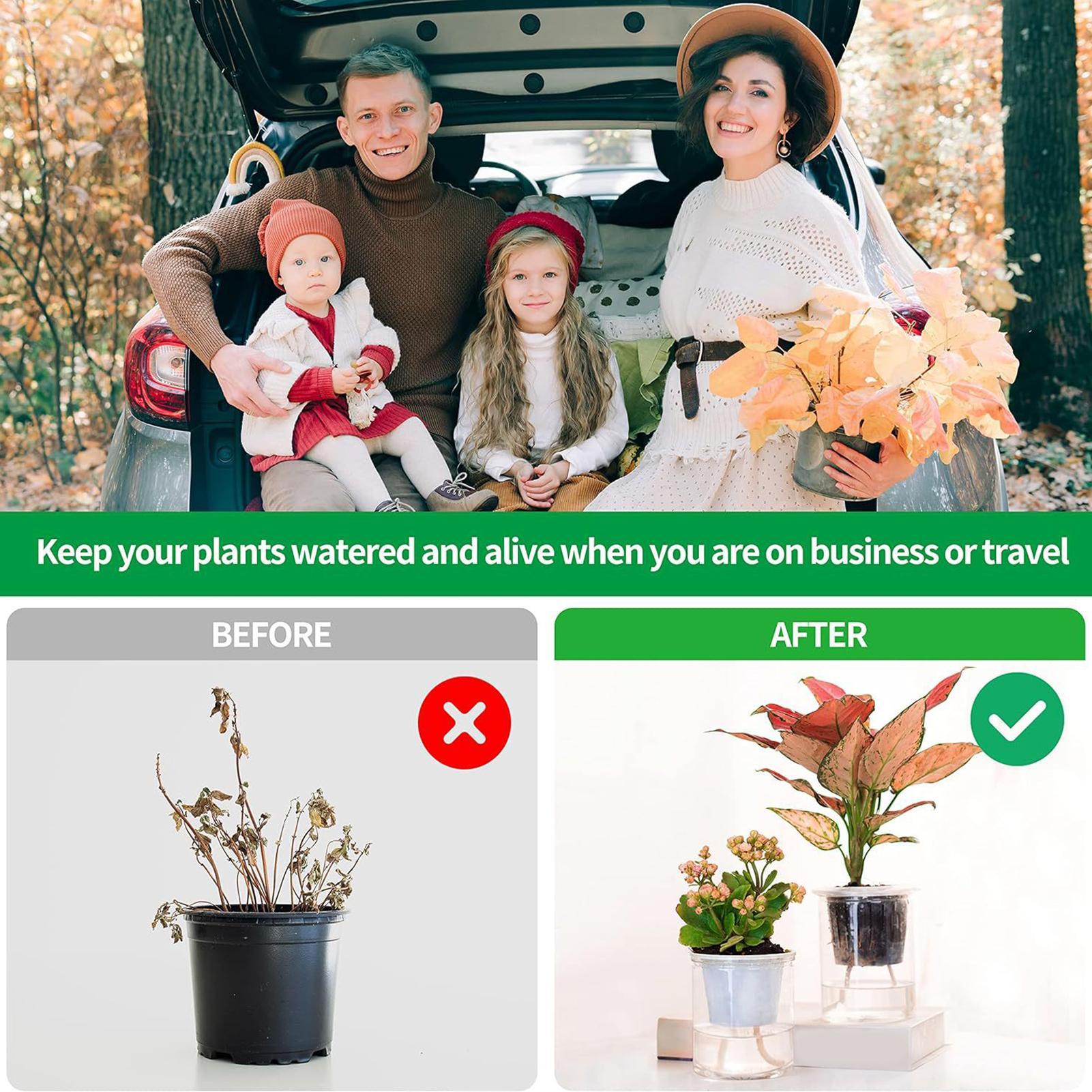 أعواد ري نباتية للري الذاتي، ن - مراجعة Self Watering Planter وسعره