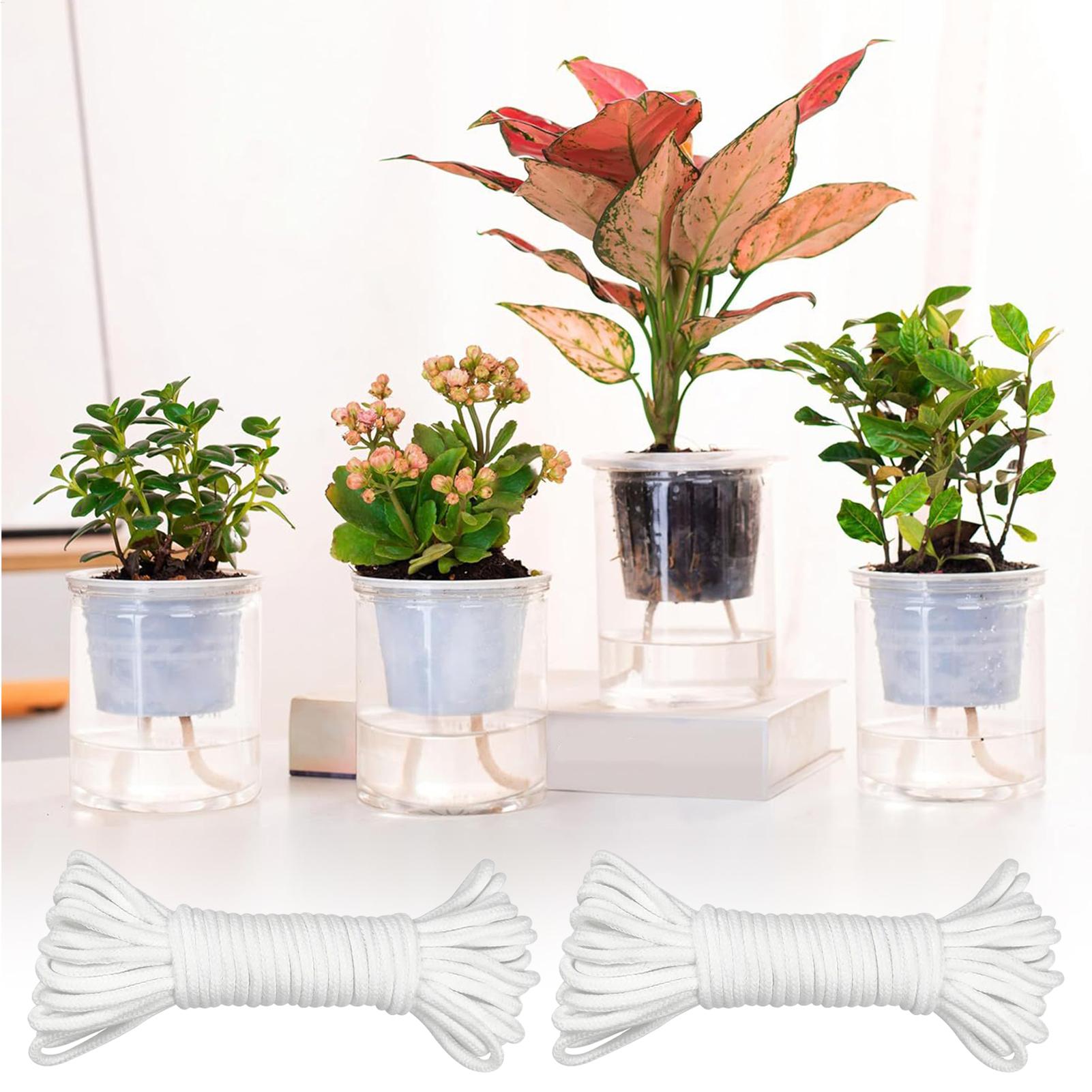 أعواد ري نباتية للري الذاتي، ن - مراجعة Self Watering Planter وسعره
