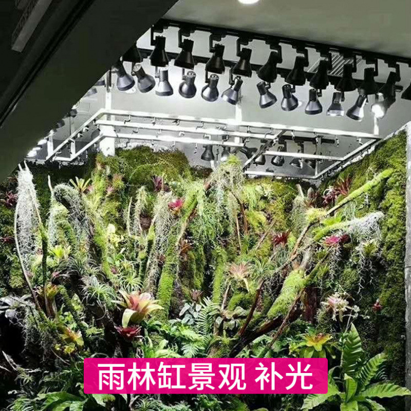 مصباح نمو نباتي LED كامل الطيف - مراجعة Plant Grow Light Full Spectrum وسعره