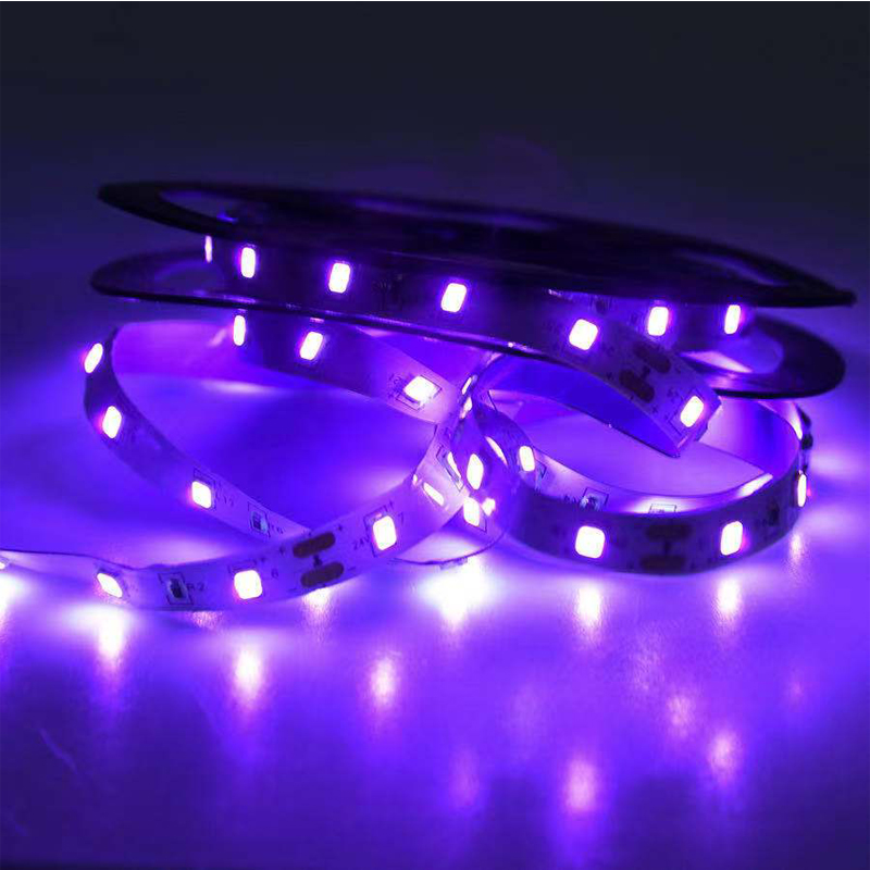 ضوء الأشعة فوق البنفسجية LED ب - مراجعة Grow Light Led وسعره
