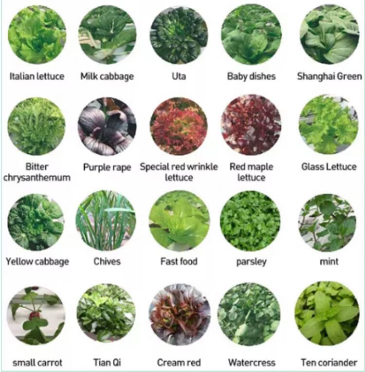 نظام زراعة هيدروبونيك عمودي لل - مراجعة Hydroponic Tower وسعره