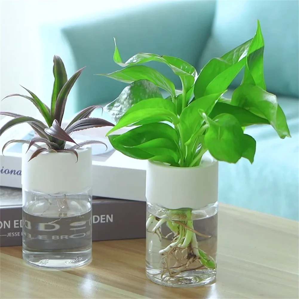وعاء زهور مائي صغير شفاف للزرا - مراجعة Hydroponic Grow Pod وسعره