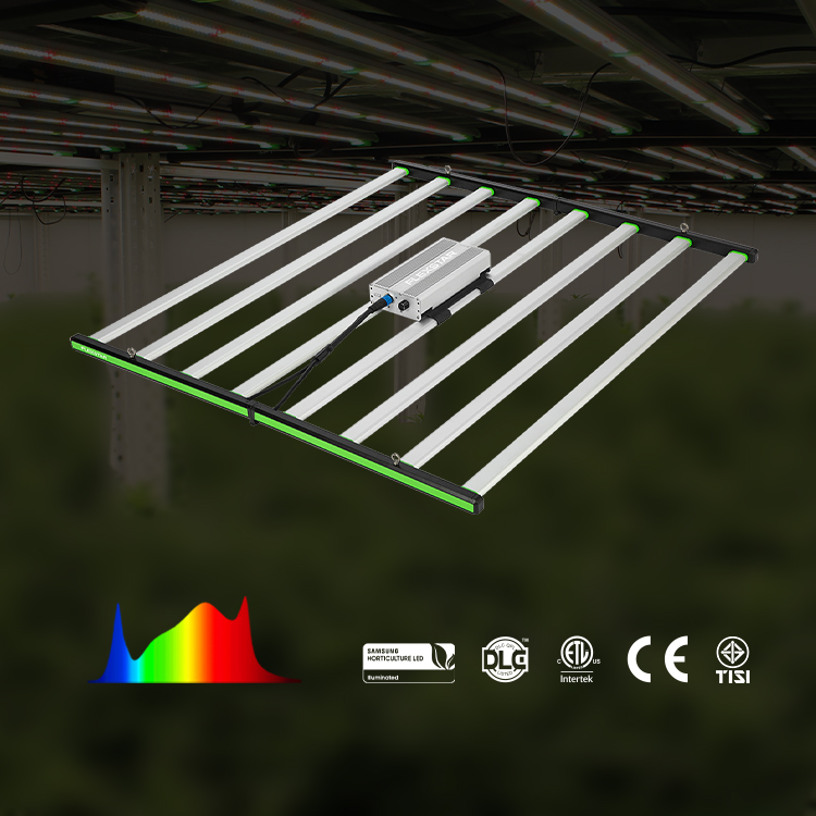 مصابيح LED للنمو النباتي Lm301 - مراجعة Grow Light Led وسعره