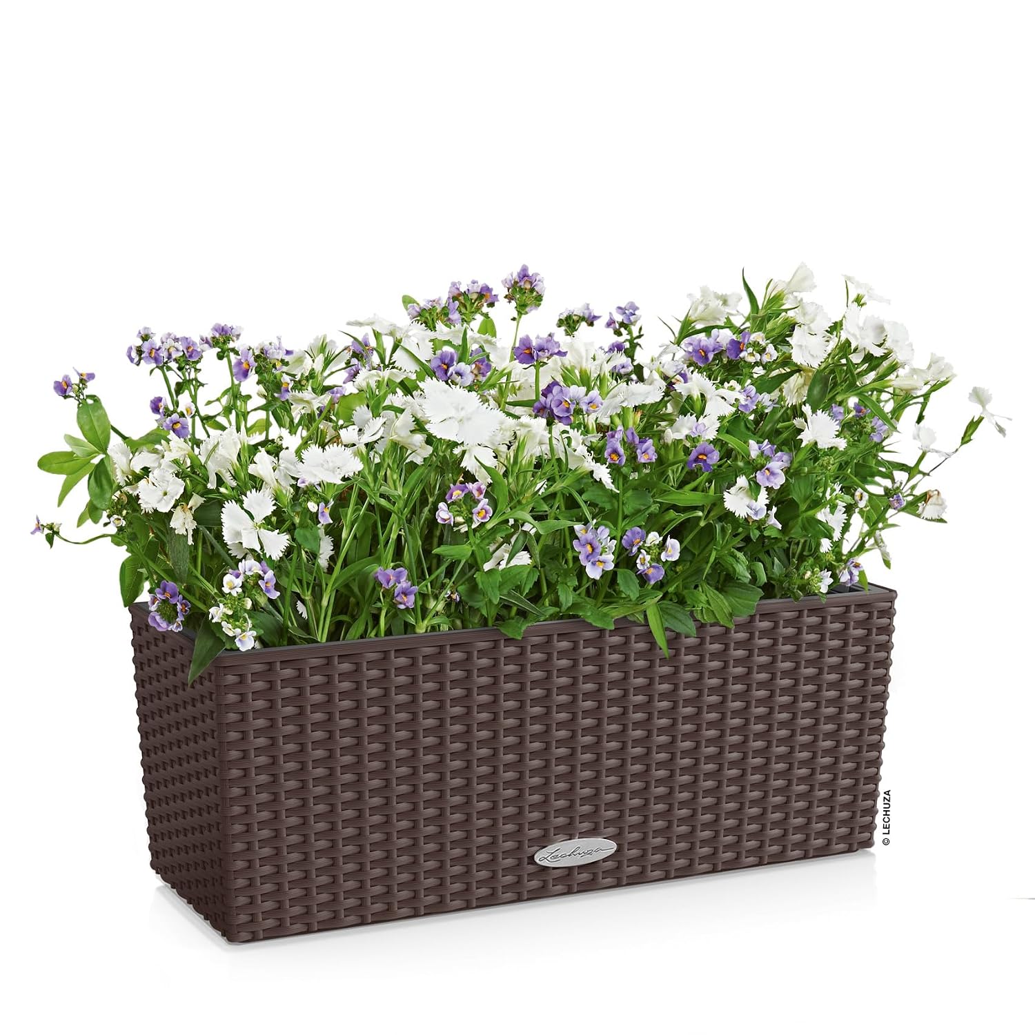 كوتاج بالكونيرا 50 موكا، صندوق - مراجعة Self Watering Planter وسعره