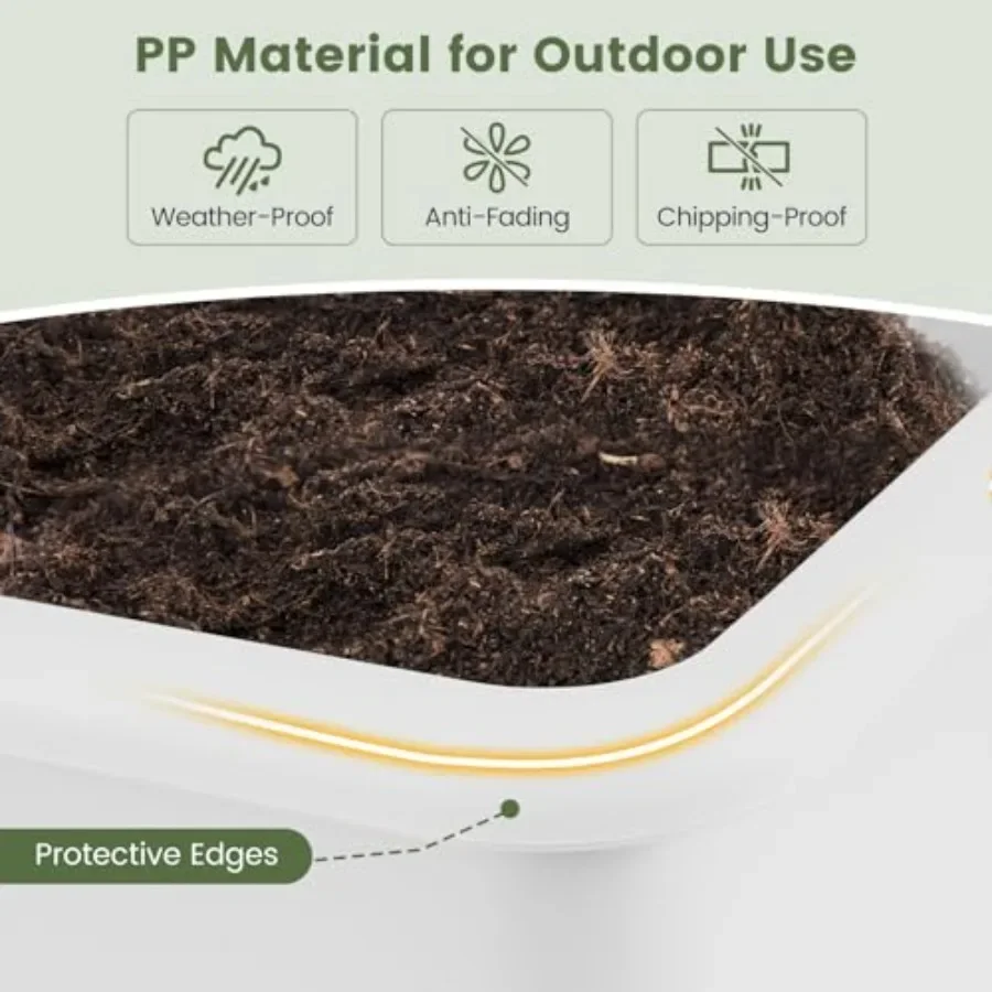 مجموعة من حوضين لزراعة النباتا - مراجعة Self Watering Planter وسعره
