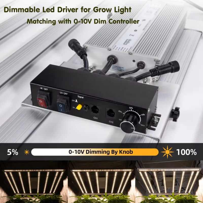 محرك إضاءة نمو النباتات بقوة 6 - مراجعة Grow Light Led وسعره