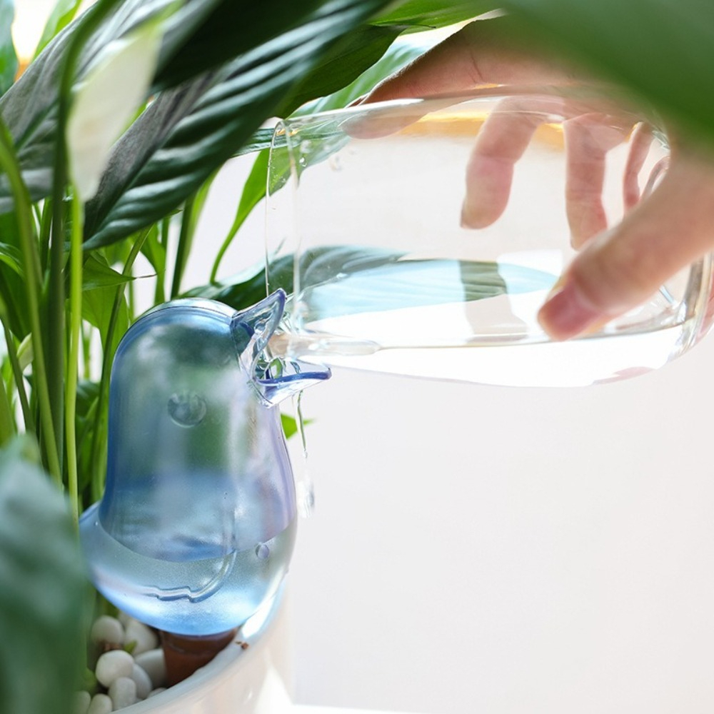 جهاز سقي النباتات على شكل طائر - مراجعة Self Watering Planter وسعره