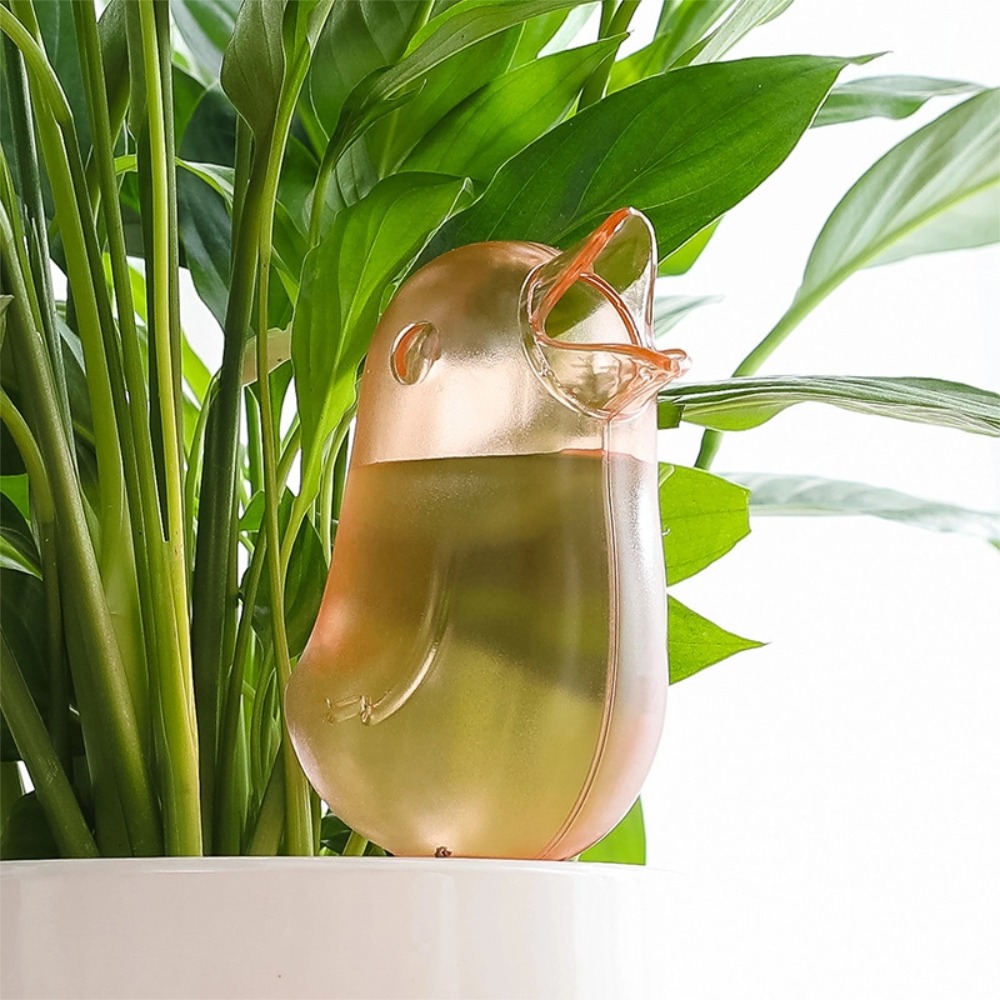جهاز سقي النباتات على شكل طائر - مراجعة Self Watering Planter وسعره
