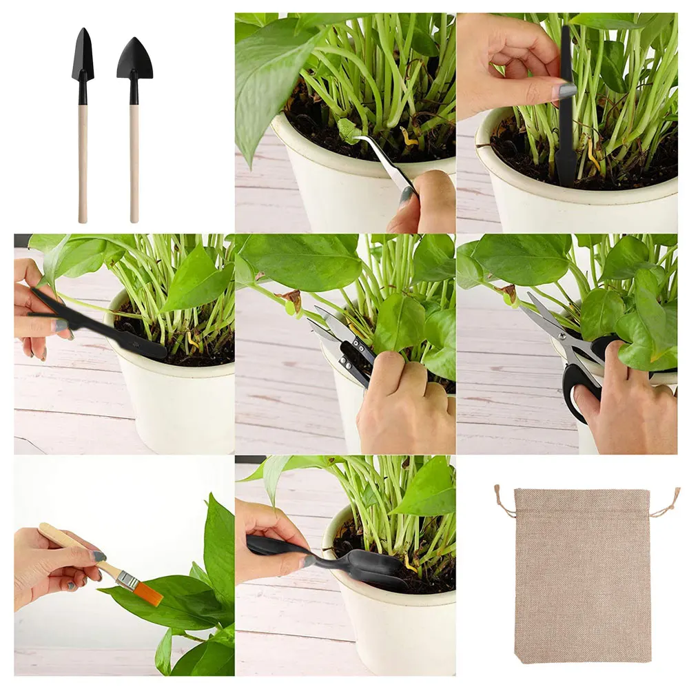 مجموعة أدوات النباتات العصارية - مراجعة Indoor Garden Kit وسعره
