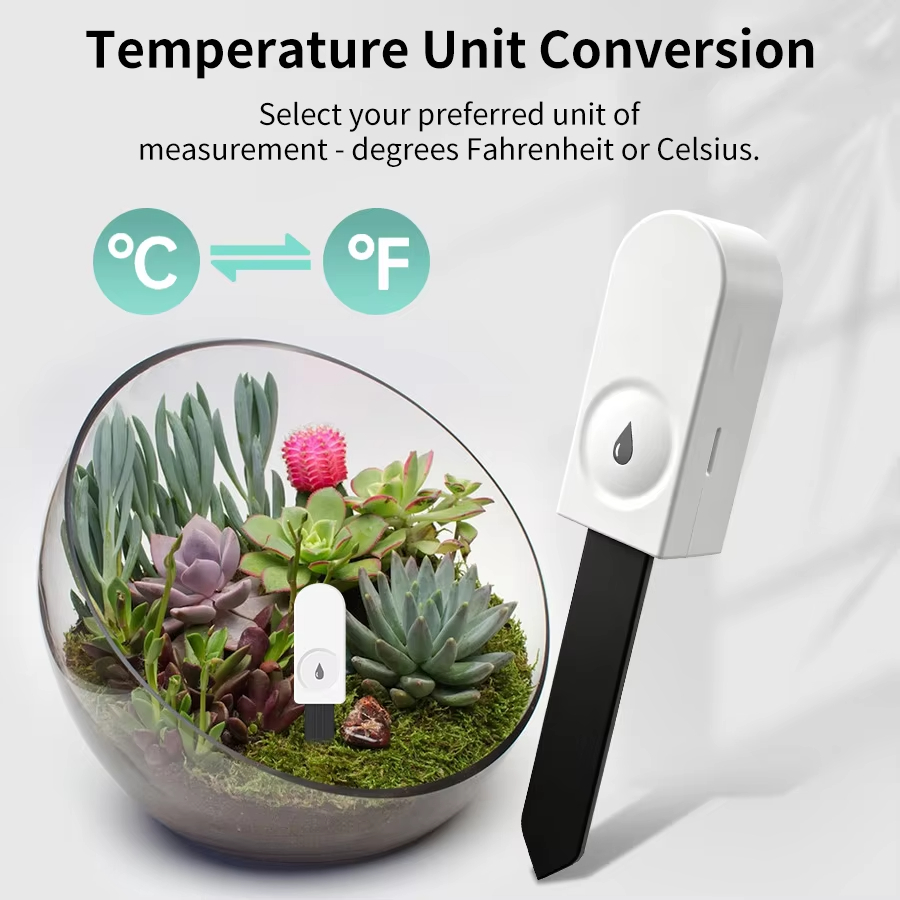 جهاز مراقبة النباتات بتقنية Zi - مراجعة Garden Camera وسعره