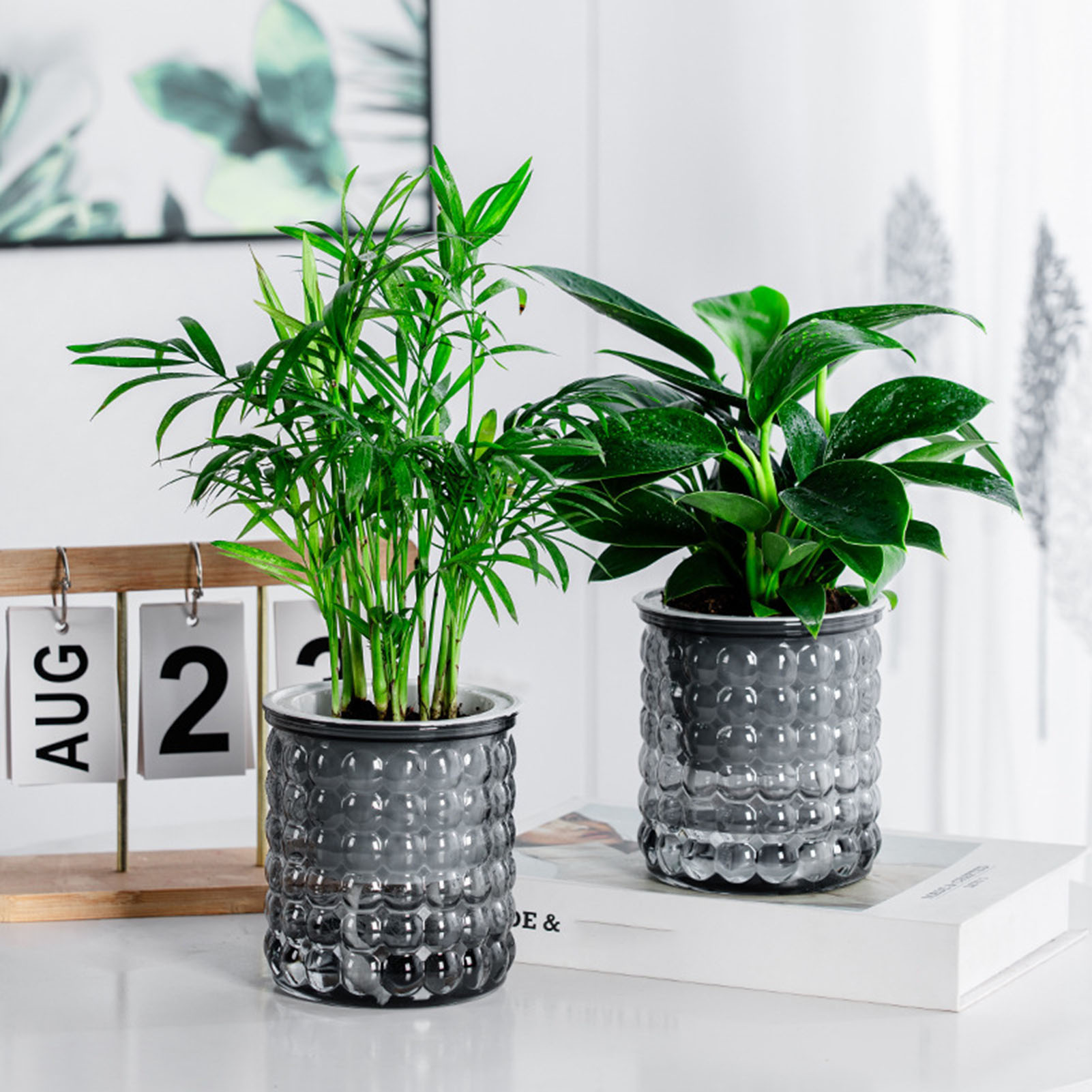 جديد الذاتي سقي النباتات المائ - مراجعة Hydroponic Grow Pod وسعره