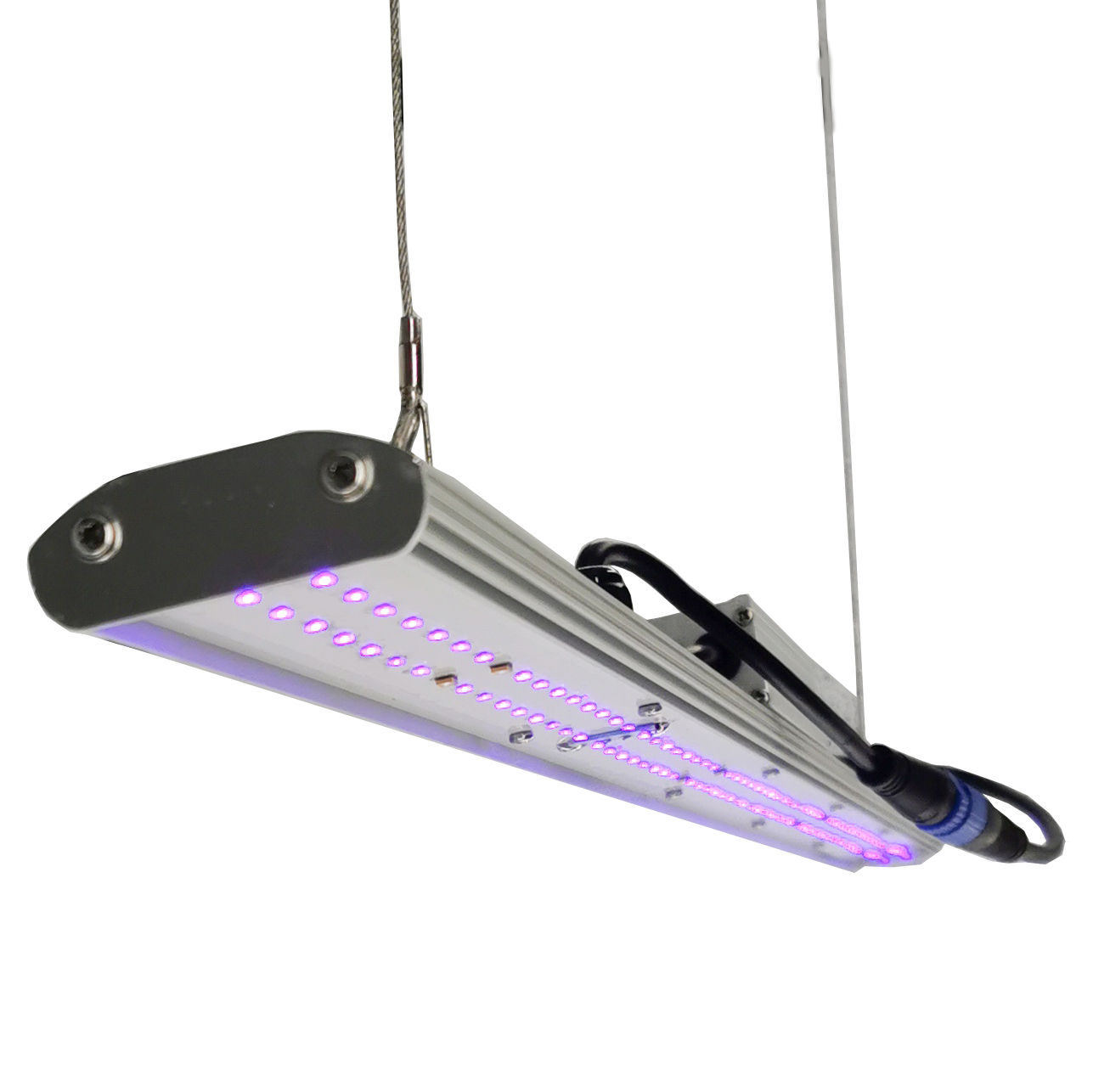مصباح LED يدوي التعتيم من DANS - مراجعة Grow Light Led وسعره