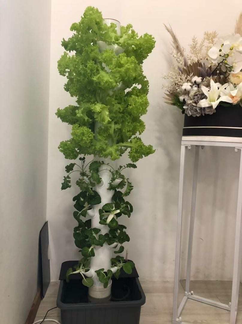 برج زراعة عمودي هيدروبوني للنب - مراجعة Hydroponic Tower وسعره