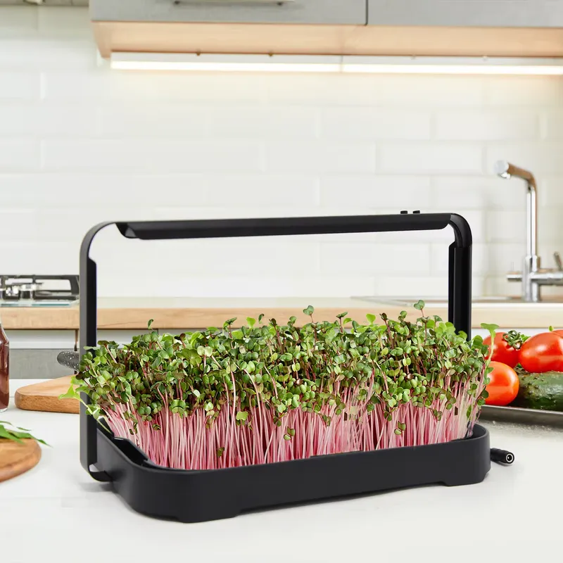 صينية زراعة مائية داخلية، نظام - مراجعة Smart Garden Kit وسعره