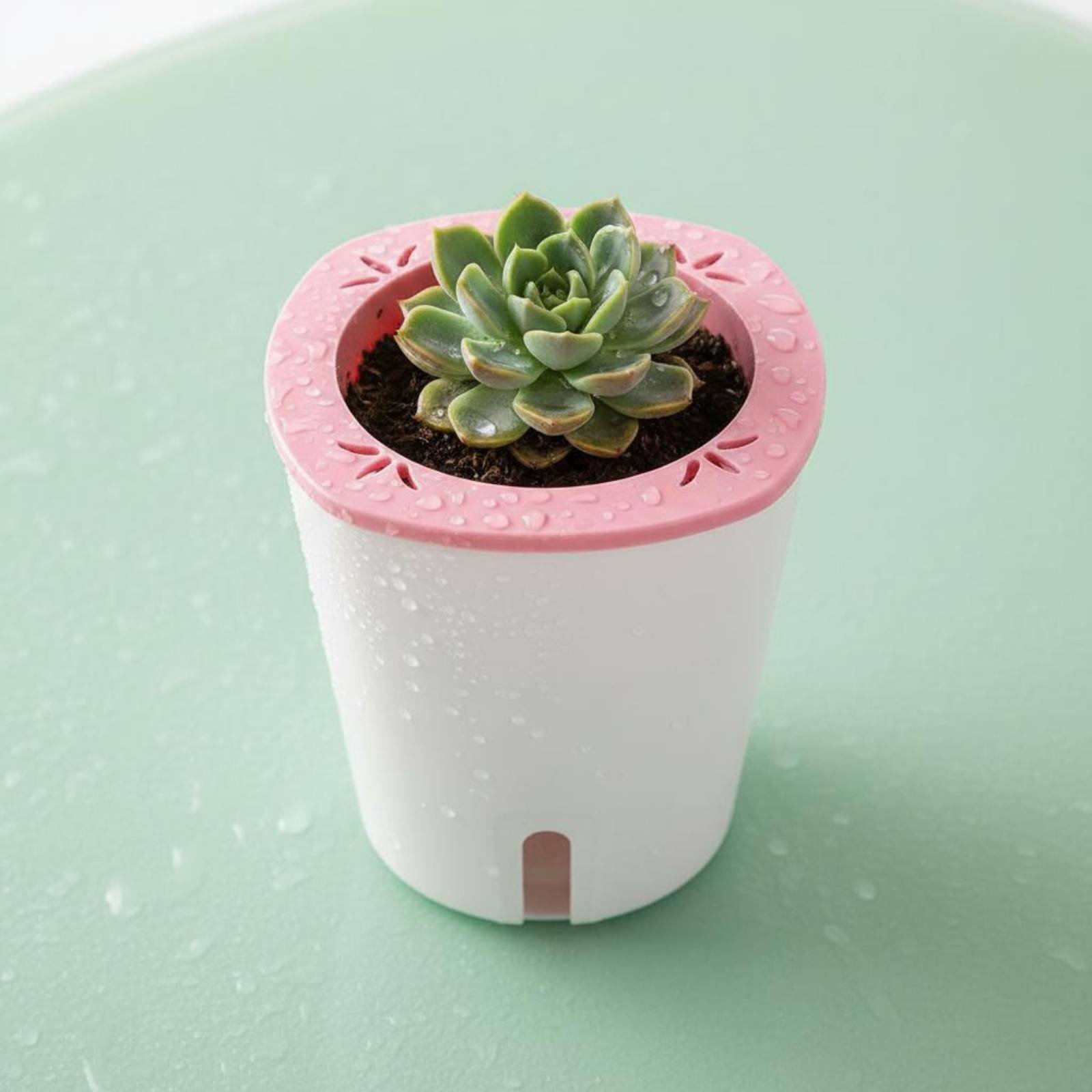وعاء زراعة ذاتي الري كبير الحج - مراجعة Self Watering Planter وسعره