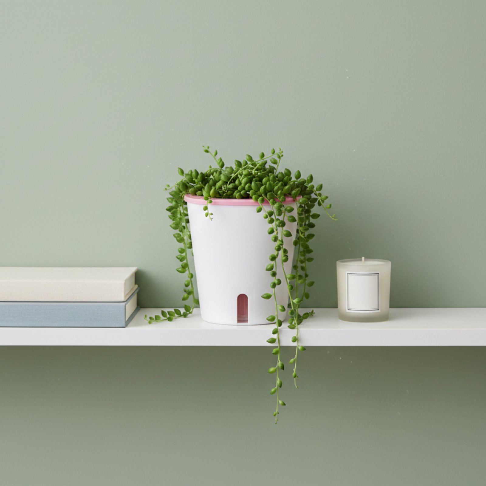 وعاء زراعة ذاتي الري كبير الحج - مراجعة Self Watering Planter وسعره