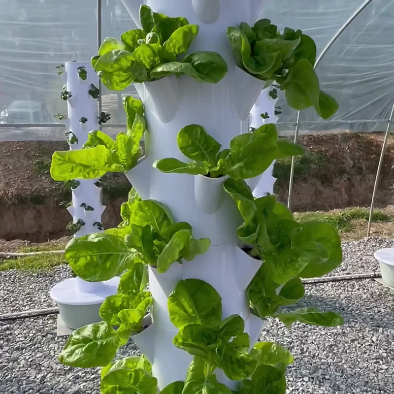 مع Led تنمو ضوء شجرة الفضاء بر - مراجعة Grow Light Led وسعره
