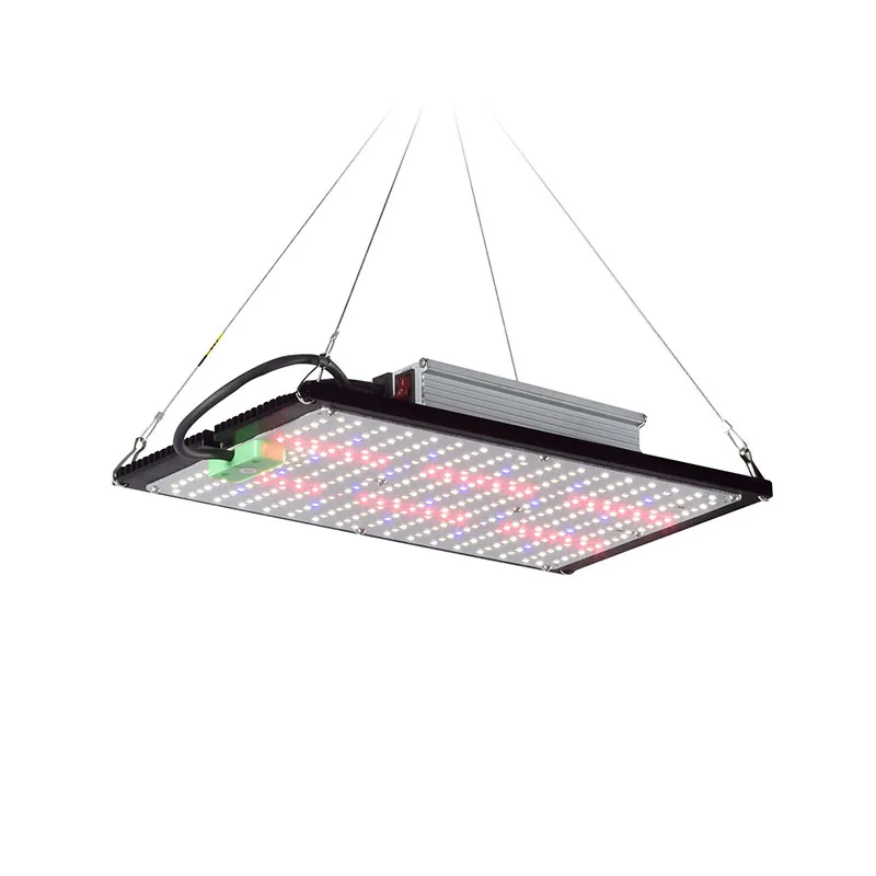 مصباح نمو LED كوانتوم-بورد كام - مراجعة Grow Light Led وسعره